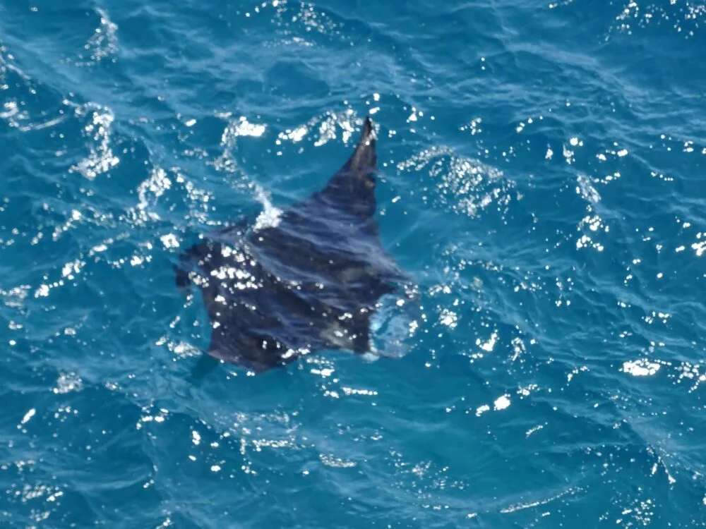 Angels-billabong-nusa-penida6