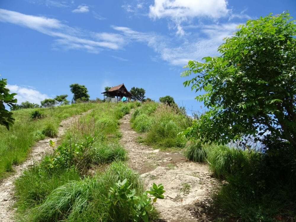 Diamond-beach-nusa-penida6